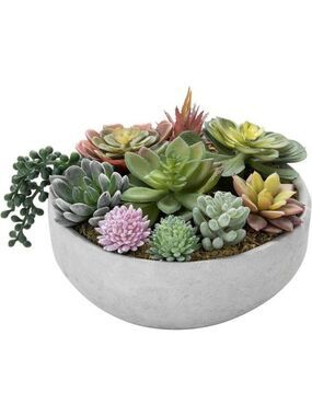 Artificial Succulent Arrangement Faux Plants in Gray Concrete Decorative Planter
